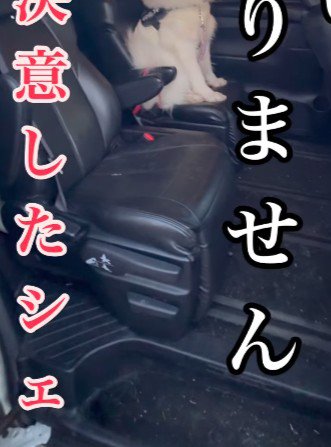 車から降りない