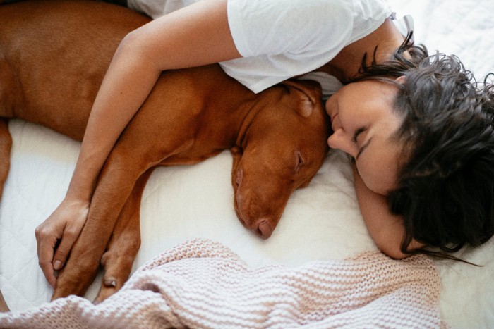 一緒に寝ている犬と女性