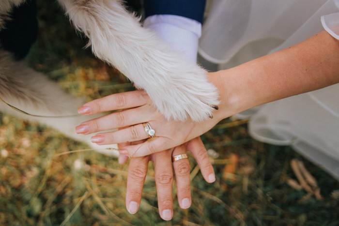 人と犬が手を重ね合わせているようす