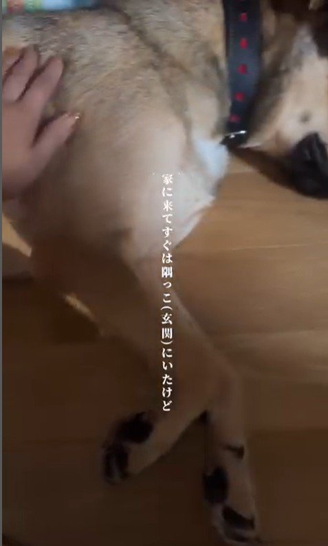 ちぃ君の変化2