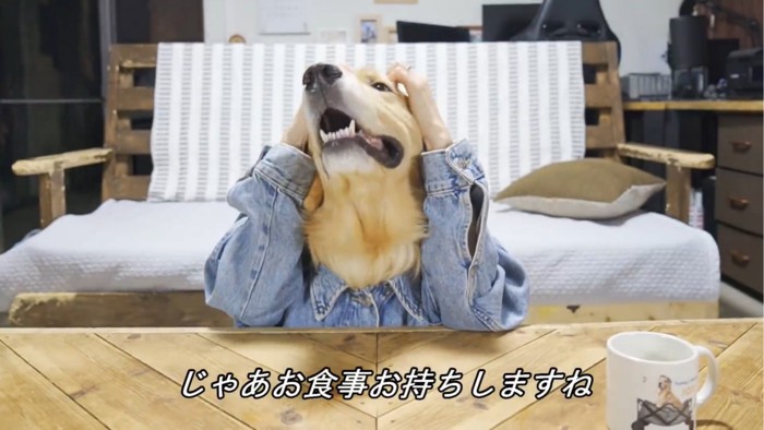 頭を抱える犬