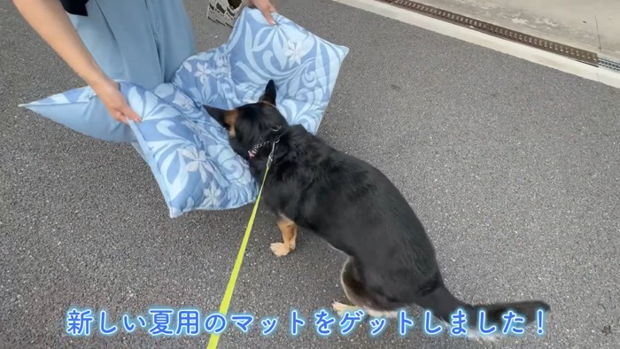 気に入ってくれるかな…？