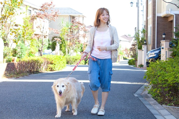 ゴールデンと女性