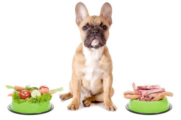 野菜と肉を前にする犬