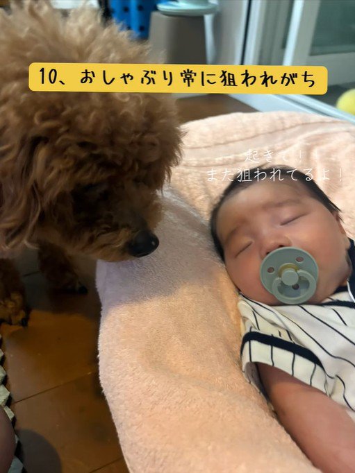おしゃぶりが気に入ったようです♪