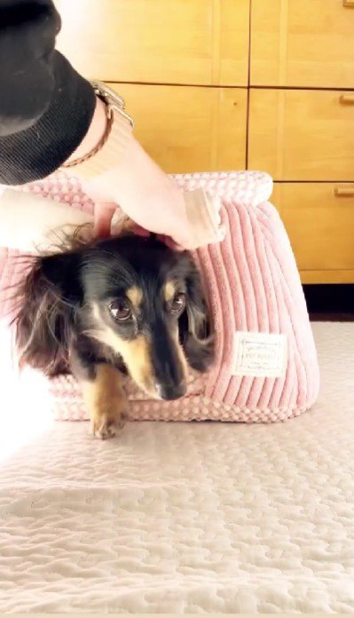 すかさず捕獲！！