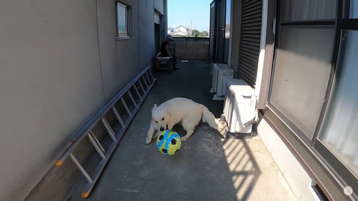 サッカーをするメイちゃん3