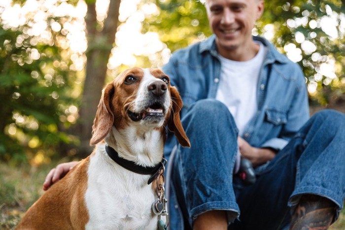 飼い主と犬