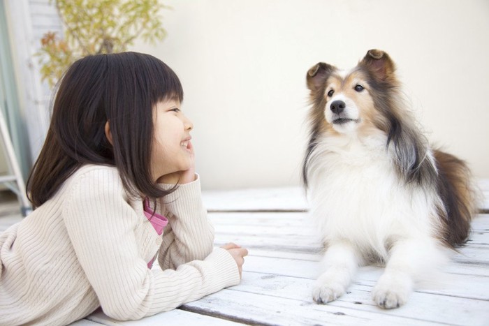 女の子とシープドッグ