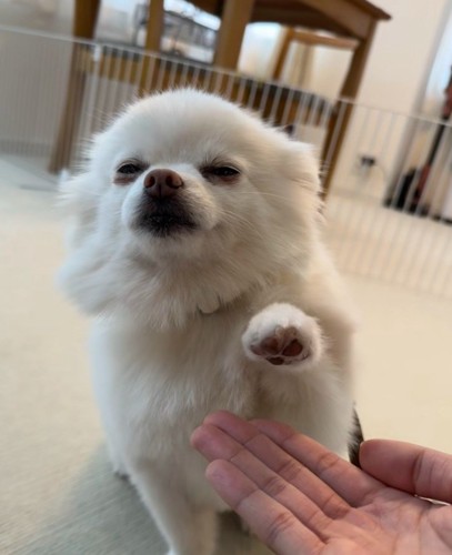 遅すぎ！！