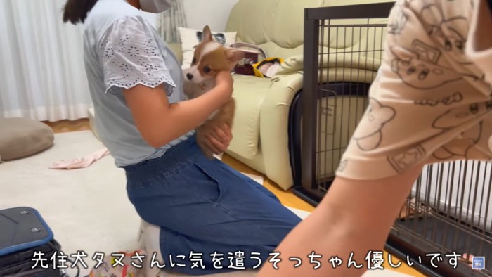 ココちゃんを抱っこするお姉ちゃん