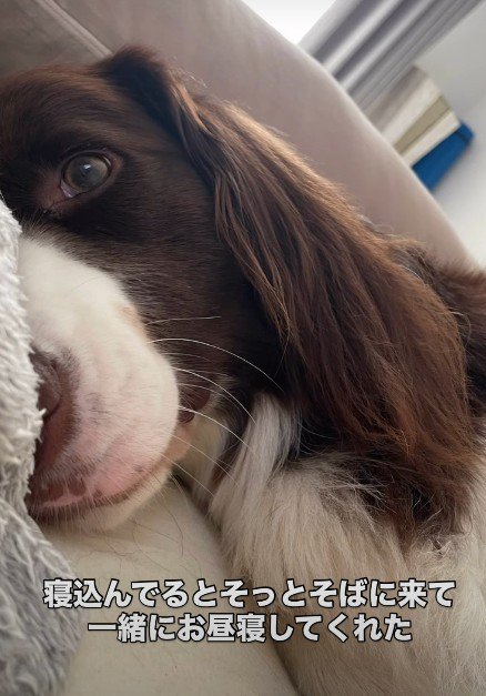 心の支えになっていた…