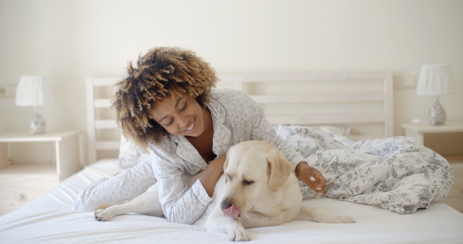 ベッドにいる女性と犬