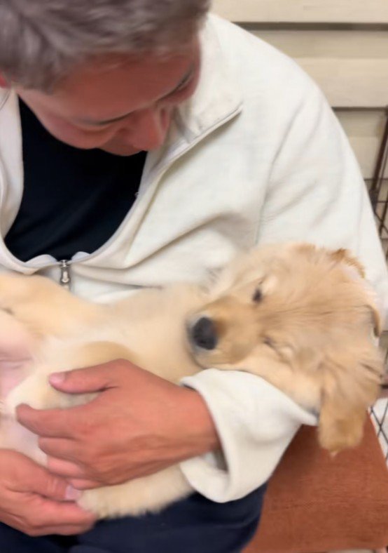 つむぎちゃんを溺愛するお父さん