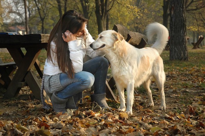 しゃがんで犬を撫でている女性