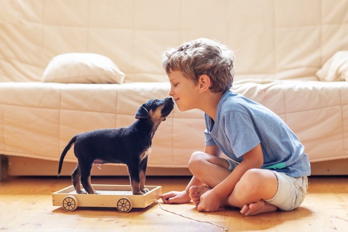 見つめあう少年と犬