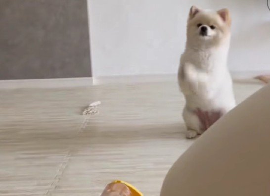 お参りみたいな攻略法！？