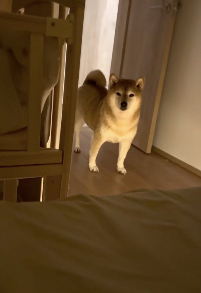 「…。」