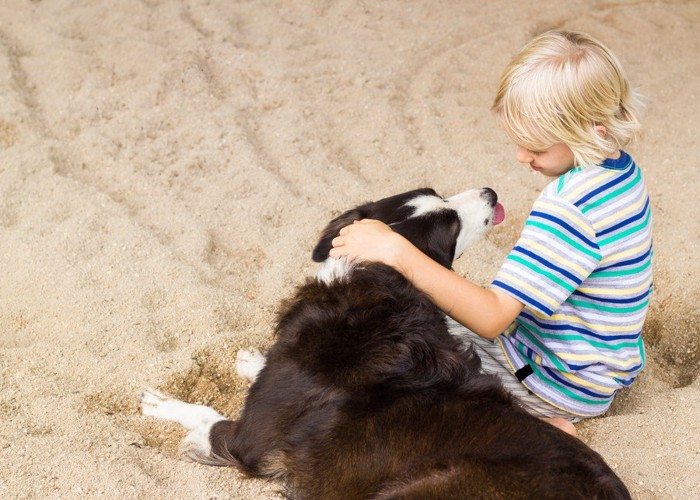 子供と犬の写真