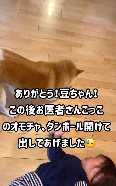 健気な姿にホッコリ