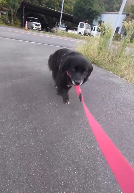 いつまでも抵抗していた