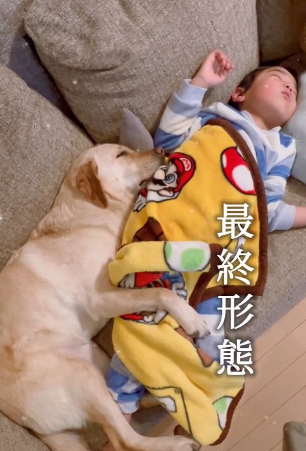 眠るふたり