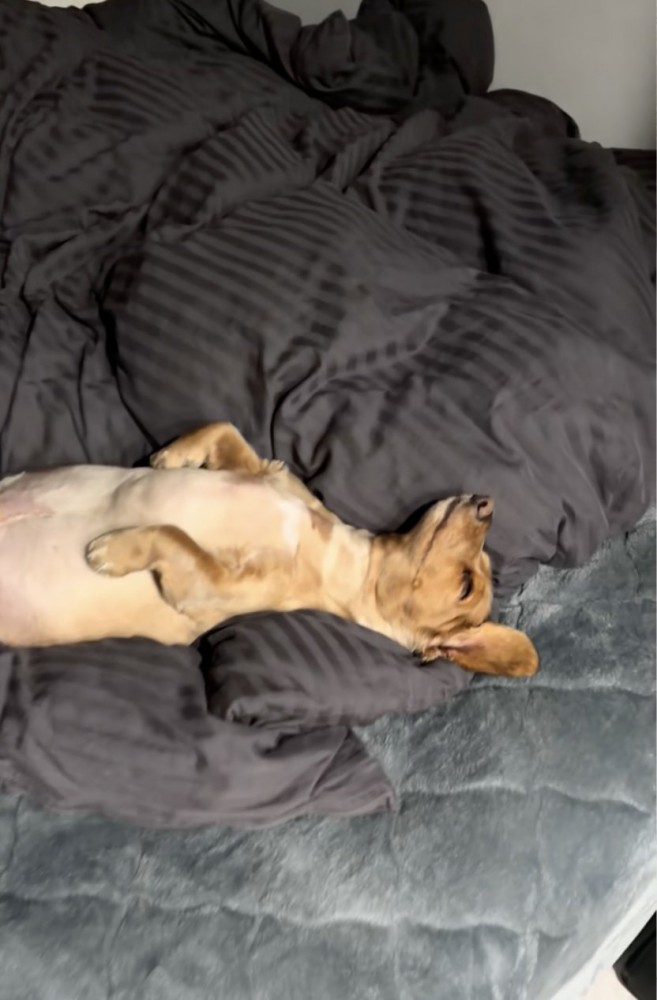 マットレスの寝心地の良さは確実