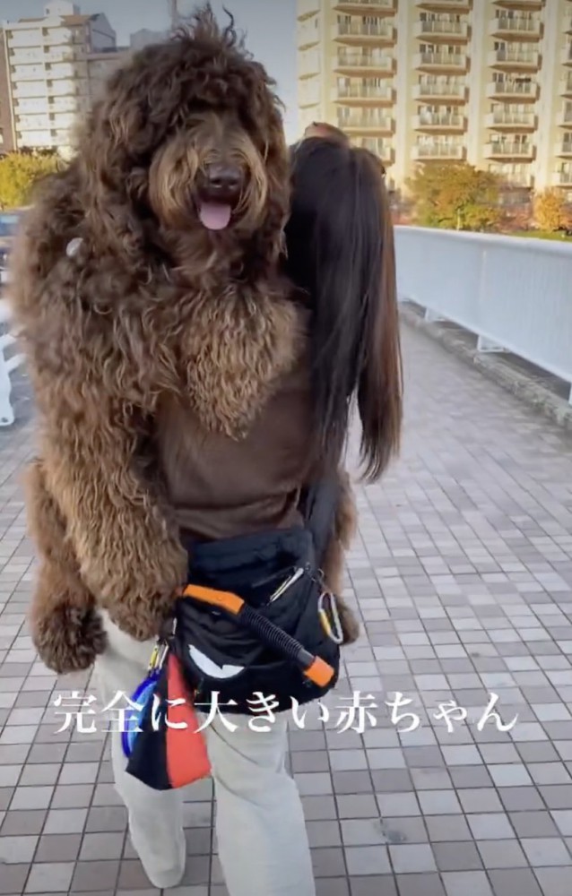 自認:小型犬