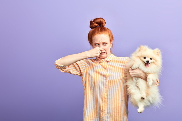 鼻を抑えて怒る女性と犬