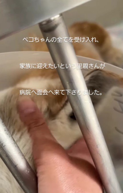 里親希望の方が面会に！