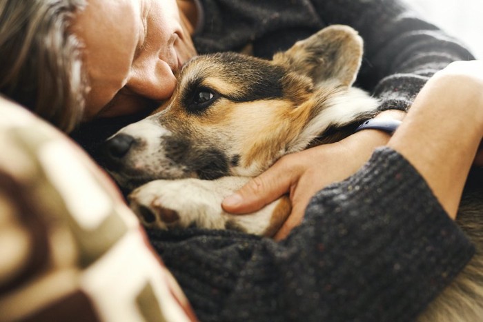 男性に抱きしめられているコーギー犬