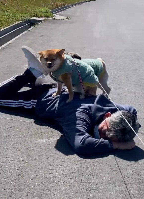 背中に乗る姫ちゃん