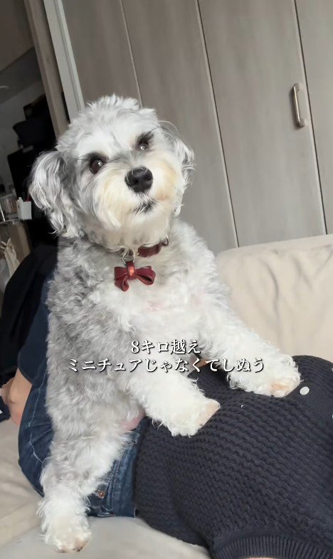 もなかちゃんの成長4