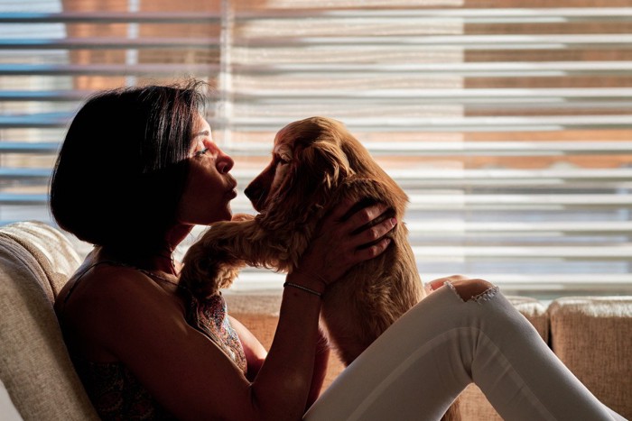 犬にキスしようとする人