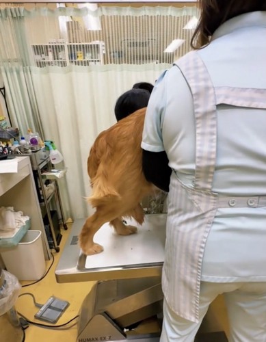 最後までへっぴり腰でした