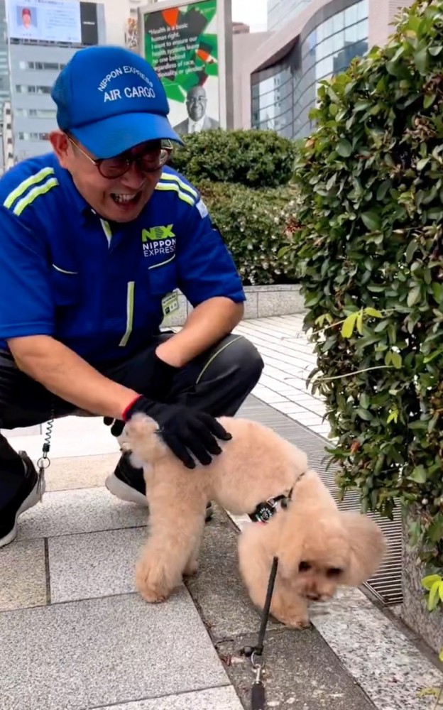 撫でてもらう犬