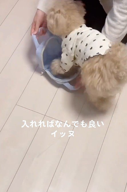 体をまとめて…