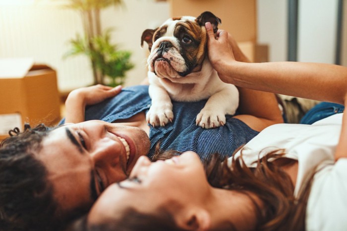 カップルと子犬