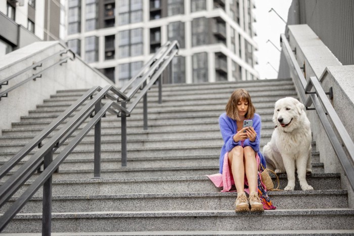 スマホを見る女性と犬