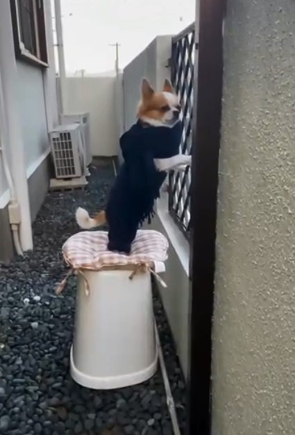5年間待ち伏せするそらくん3