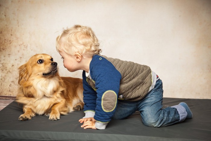 子供の顔を怖がりながら見つめる犬