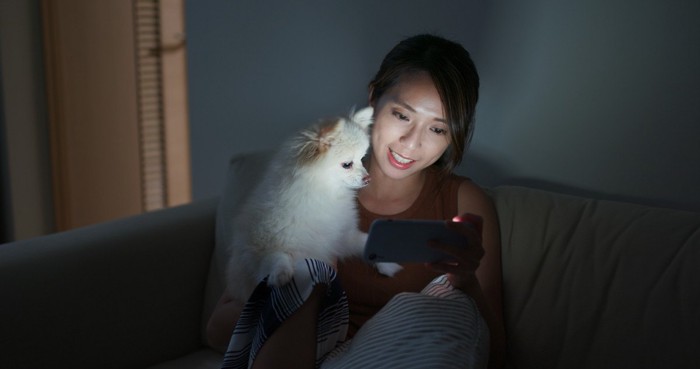 スマホを女性と一緒に見つめる犬