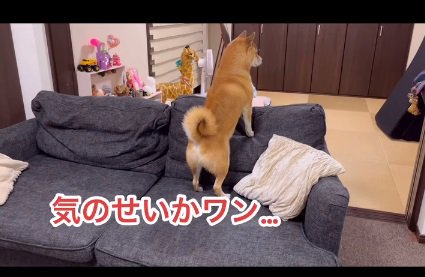 気のせいかと思うロックくん