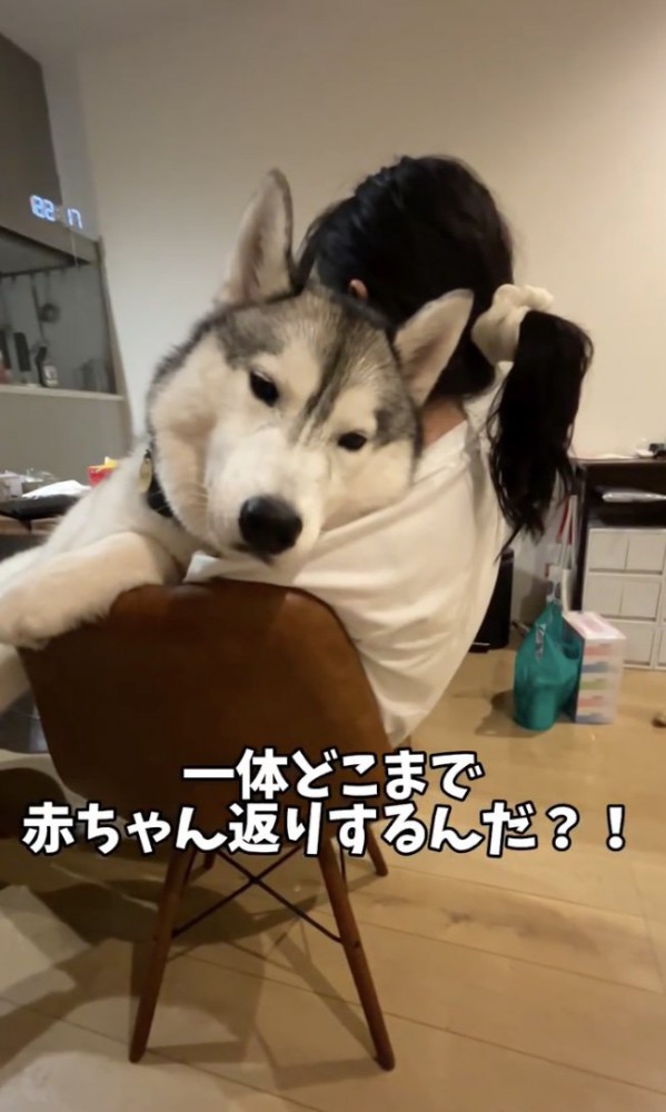 日々「赤ちゃん」を極めます