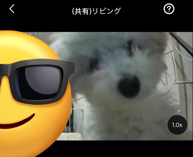 ペットカメラ
