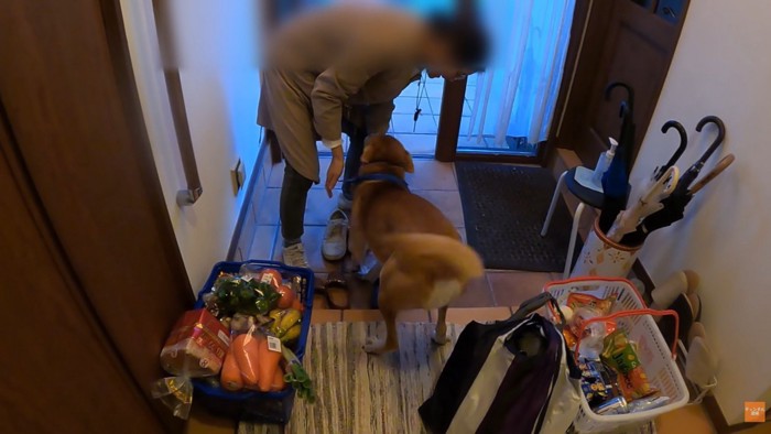 家族が出かける日のワンジローくん7