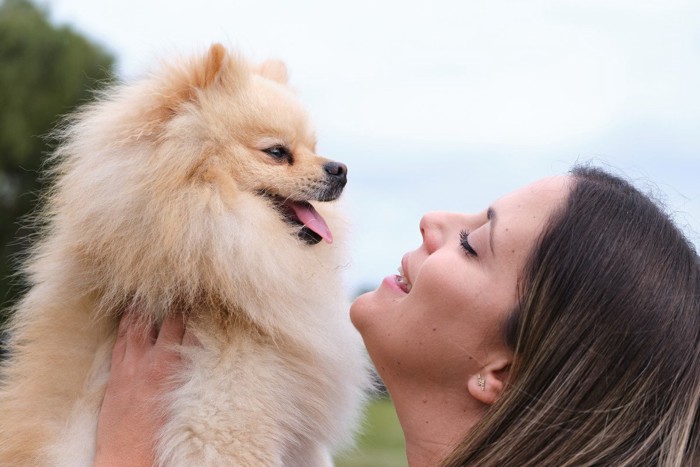 犬に話しかける女性