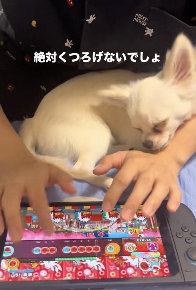 みるくんの顔も上下に揺れる