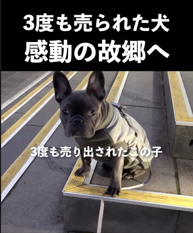 悲しげな表情