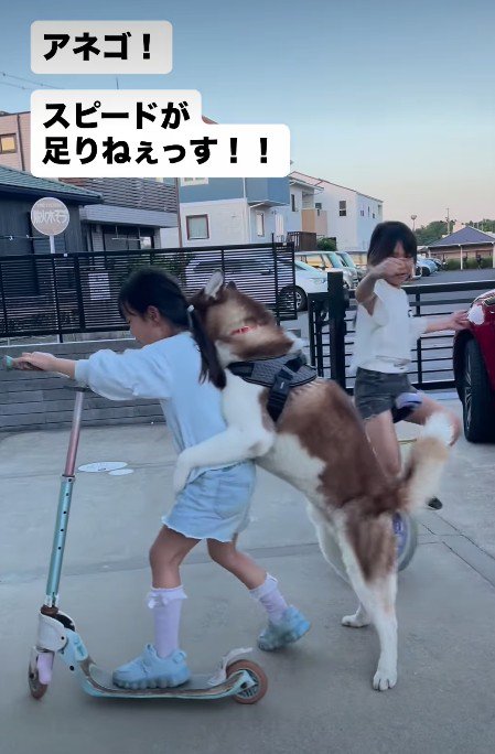 ユーターンまで披露